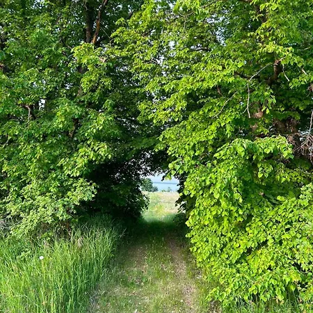 Muhu Leeni Glamping