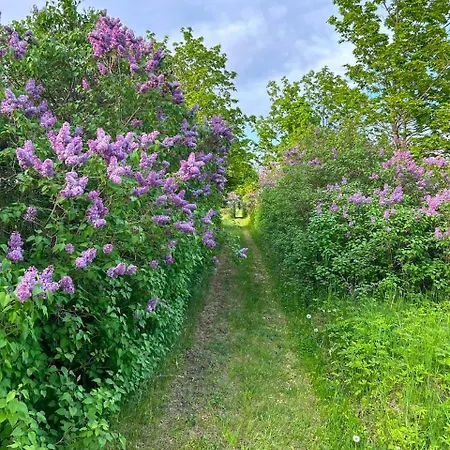 Muhu Leeni Glamping *