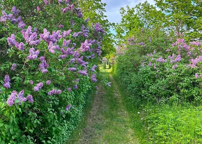 Muhu Leeni Glamping *